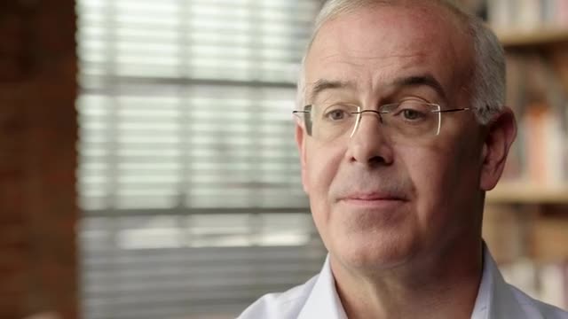 David Brooks