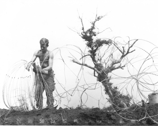 Photographic print of a shirtless soldier standing on a dirt mound, gathering coils of barbed tape wire, with a bare tree visible behind him