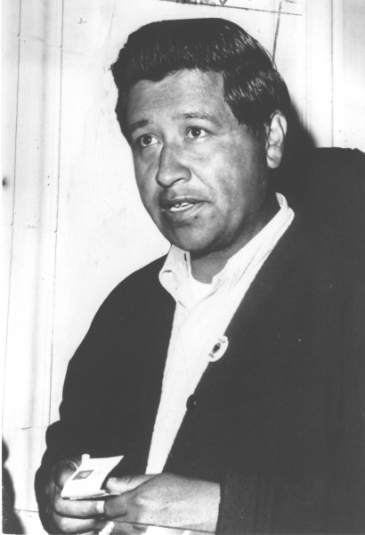 Photographic print of Cesar Chavez, a man in a dark cardigan and white shirt, holding a small card and wearing a button pin