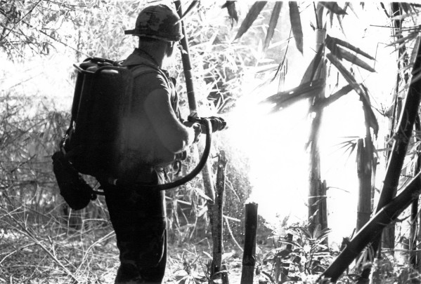Photographic print of a helmeted U.S. Marine, seen from behind, carrying a backpack flamethrower and directing a stream of fire into dense jungle vegetation