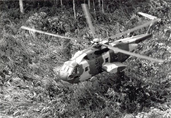Photographic print of a U.S. Air Force CH-3E helicopter hovering low over dense jungle vegetation, rotors spinning, surrounded by trees and brush