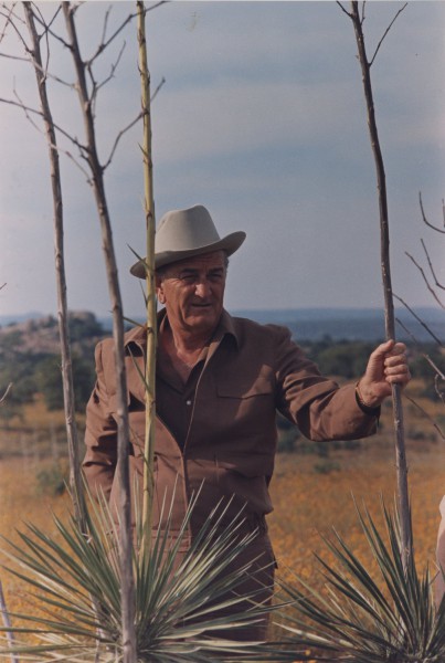 Photographic print of a man in a cowboy hat and brown shirt standing among bare saplings and yucca plants in an open rural landscape