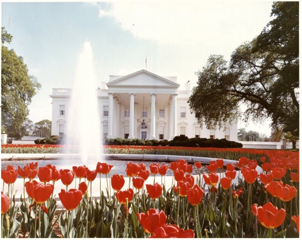 Color photograph of the White House north facade with a fountain and beds of red tulips in the foreground, trees flanking the grounds under a partly cloudy sky